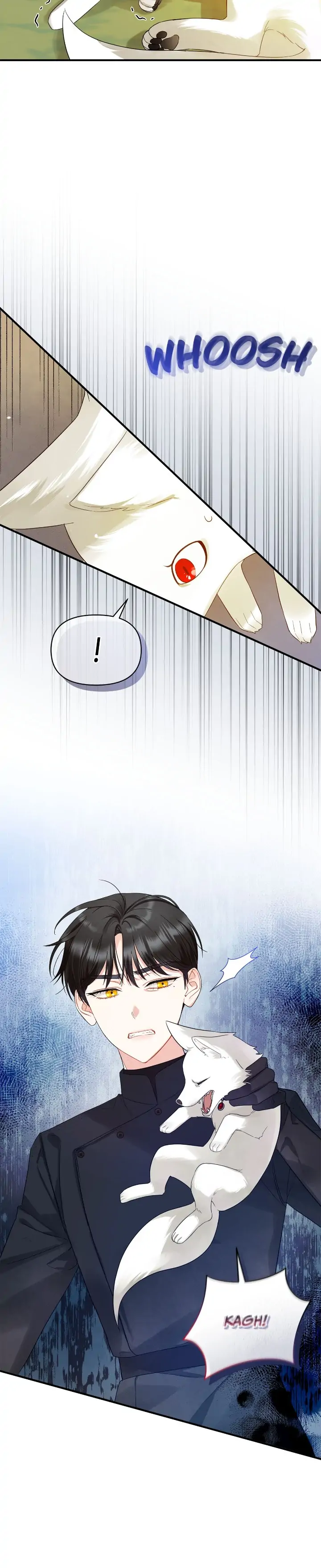 26955489 720 3516 137948
